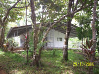 Bungalow From Patio End